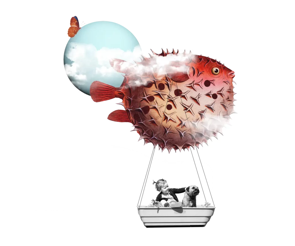 contact-picture02 illustration collage Montgolfière poisson volant