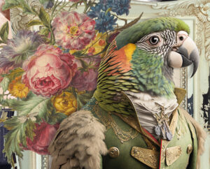 Zoom création d'illustration saison culturel