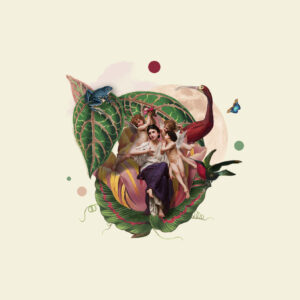 Illustrations Home Page ASADIS