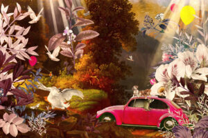 Portfolio Illustrateur graphiste