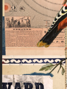 Bird-30x40cm-web-mini02