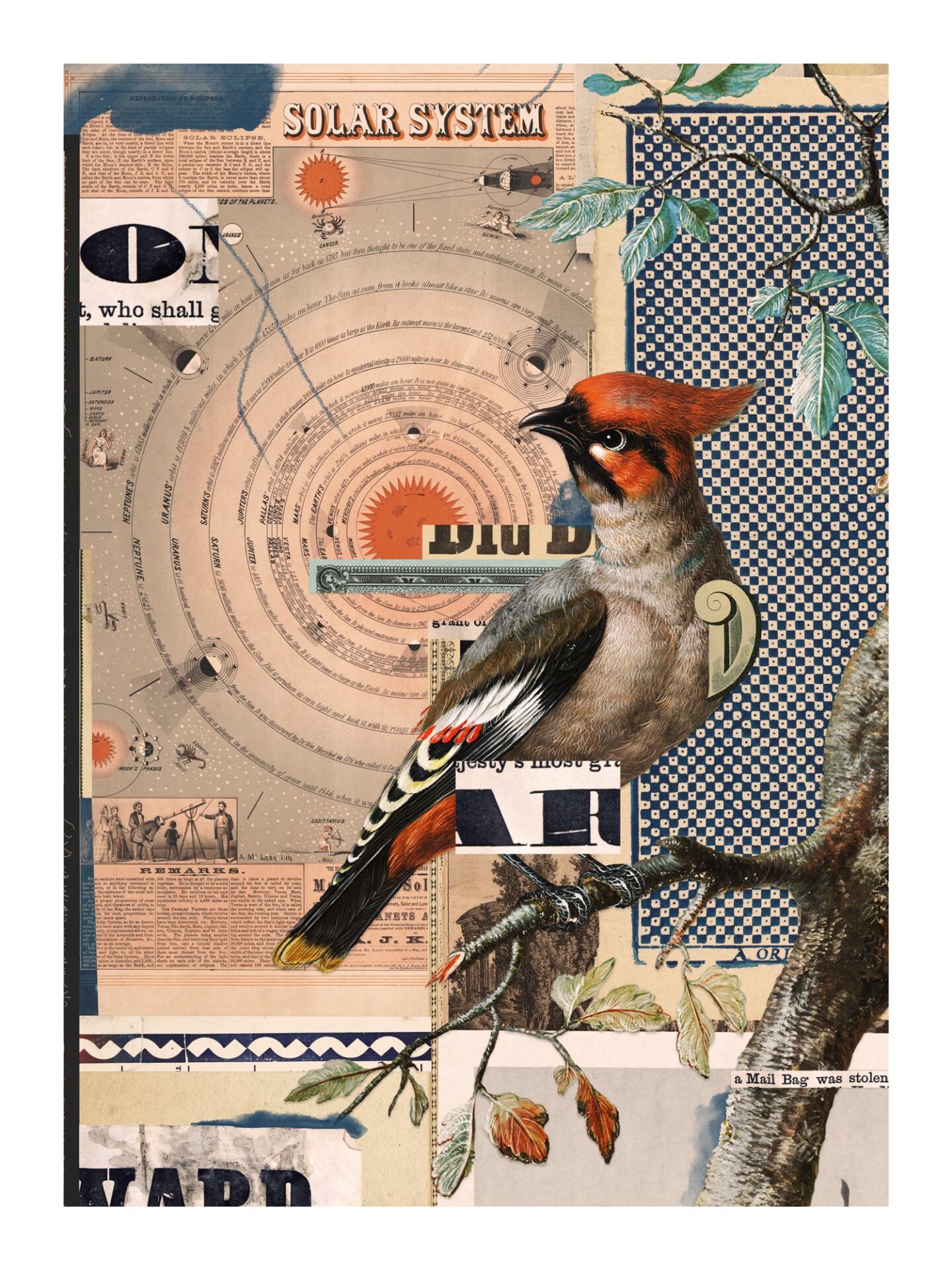 Bird-30x40cm-web Bird-30x40cm-web