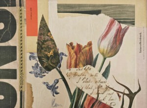 Collage herbier