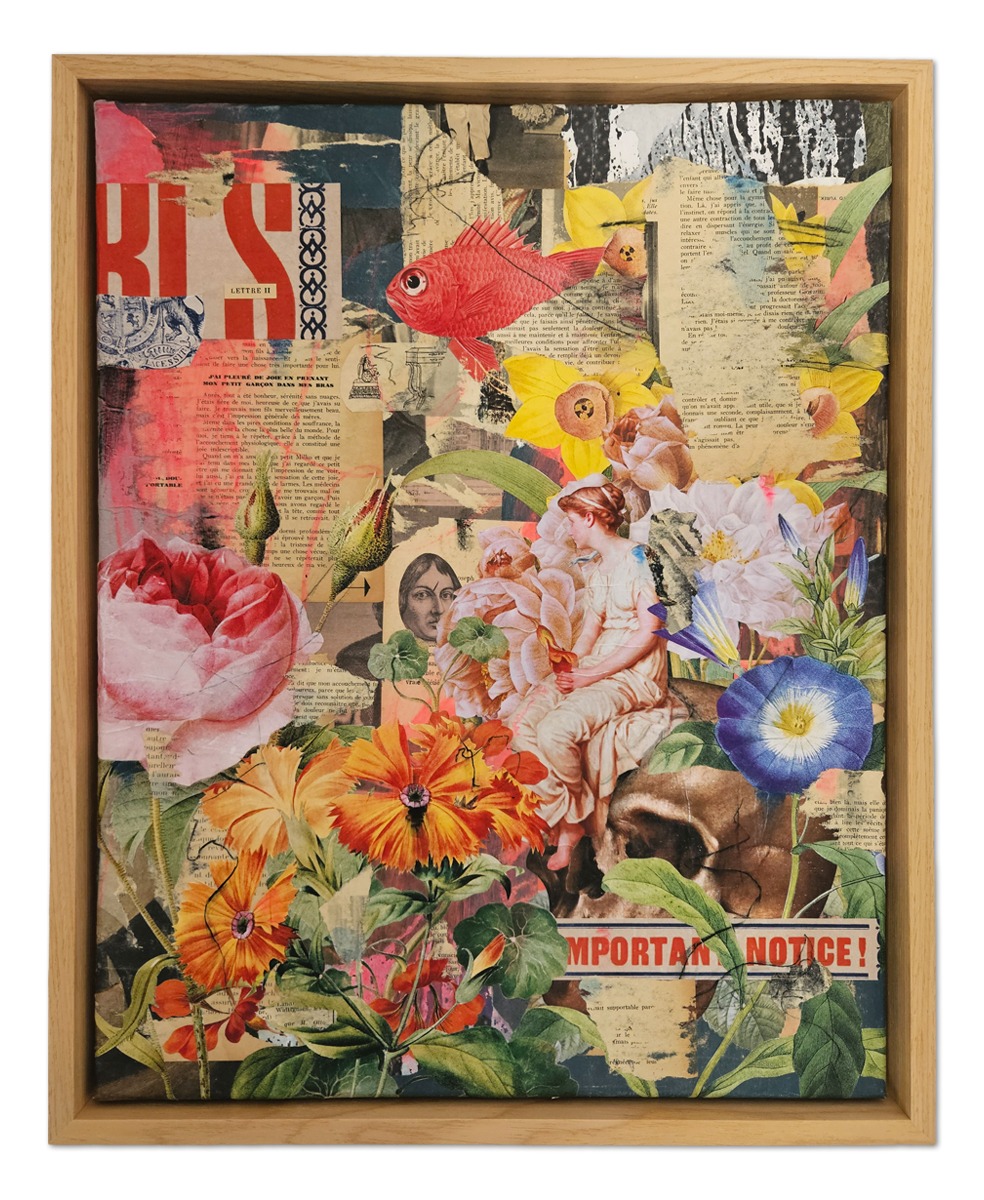 Notice collage